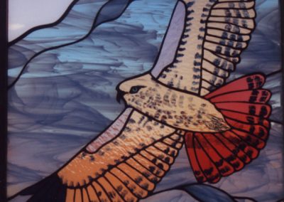 Red Tailed Hawk | 21"x33"